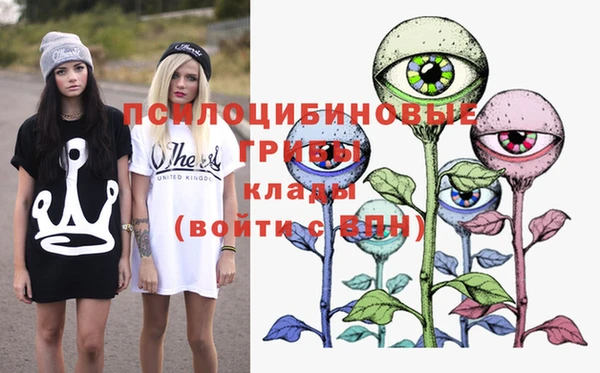 бошки Баксан